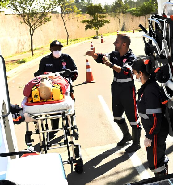 A Estrada Rural que Virou Palco de uma Tragédia Silenciosa: O Dia em que Tudo Mudou 16 A Estrada Rural que Virou Palco de uma Trag dia Silenciosa O Dia em que Tudo Mudou