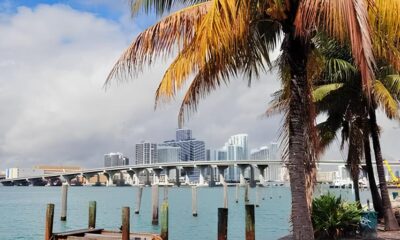 A Grande Oportunidade Como Garantir Voos para Miami e Orlando Antes que os Pre os Disparem