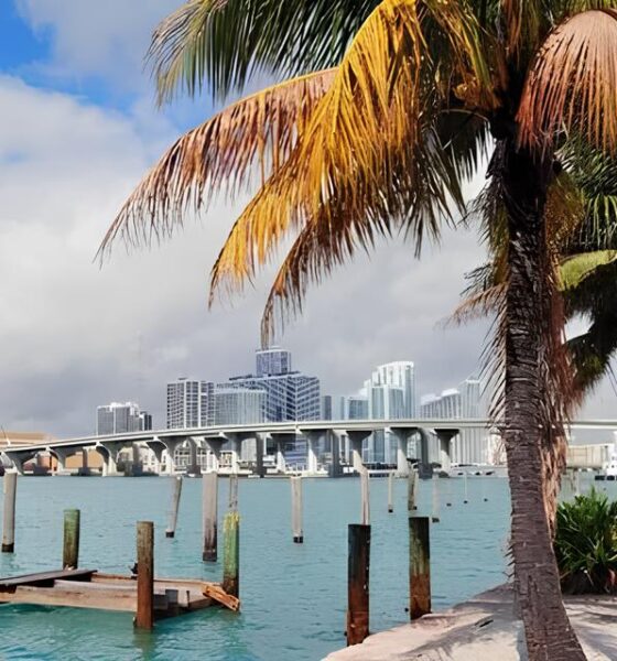 A Grande Oportunidade: Como Garantir Voos para Miami e Orlando Antes que os Preços Disparem 16 A Grande Oportunidade Como Garantir Voos para Miami e Orlando Antes que os Pre os Disparem