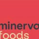 A Jornada do Especialista de Abastecimento na Minerva Foods Por Dentro de um Cargo Estrat gico em uma Gigante Global