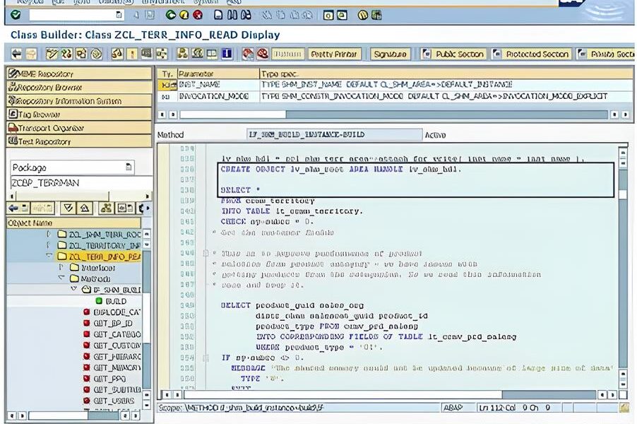 A Vaga dos Sonhos Por Dentro do Universo do Consultor Funcional SAP ABAP SR na Meta Brazil