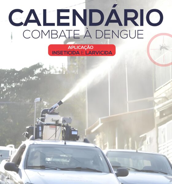 Combate à Dengue: O Calendário Secretivo Que Pode Salvar Sua Vida 16 Combate Dengue O Calend rio Secretivo Que Pode Salvar Sua Vida