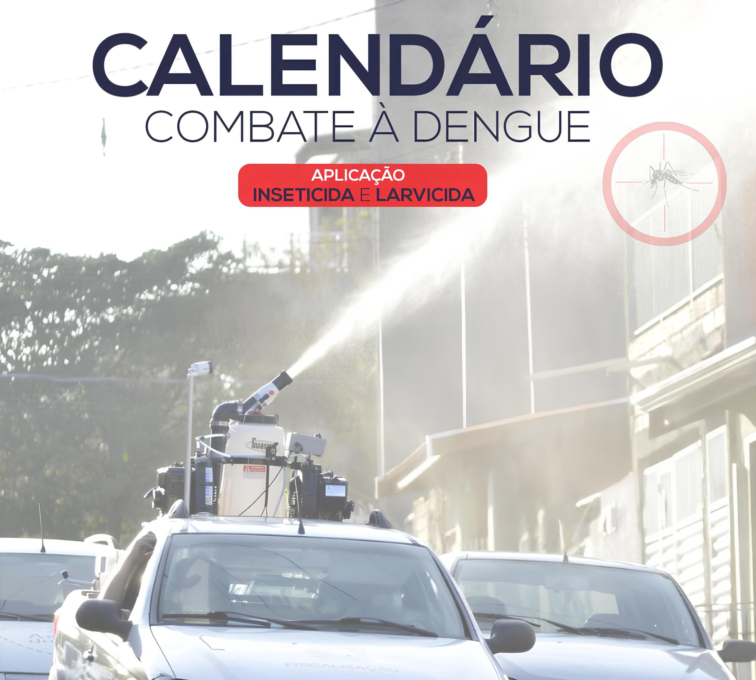 Combate à Dengue: O Calendário Secretivo Que Pode Salvar Sua Vida 15 Combate Dengue O Calend rio Secretivo Que Pode Salvar Sua Vida scaled