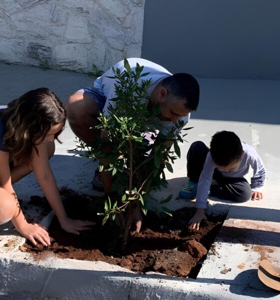 Como 32 Mudas de Árvores Podem Transformar Um Bairro: A História do Projeto Bairro Verde no Vila Rica 16 Como 32 Mudas de rvores Podem Transformar Um Bairro A Hist ria do Projeto Bairro Verde no Vila Rica