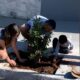 Como 32 Mudas de rvores Podem Transformar Um Bairro A Hist ria do Projeto Bairro Verde no Vila Rica