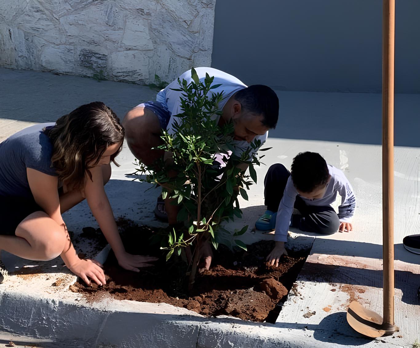 Como 32 Mudas de Árvores Podem Transformar Um Bairro: A História do Projeto Bairro Verde no Vila Rica 15 Como 32 Mudas de rvores Podem Transformar Um Bairro A Hist ria do Projeto Bairro Verde no Vila Rica