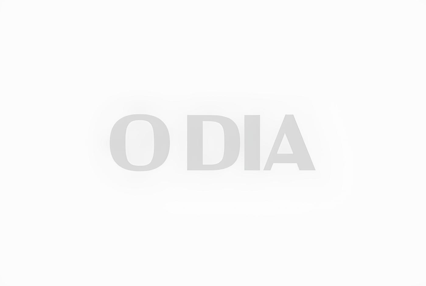Como Guapimirim Está Reinventando a Cultura Brasileira com a FLIG 2025 15 Como Guapimirim Est Reinventando a Cultura Brasileira com a FLIG 2025