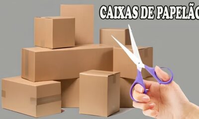 Como Transformar uma Vaga de Vendedor a de Embalagens em Indaiatuba em um Trampolim para o Sucesso Profissional