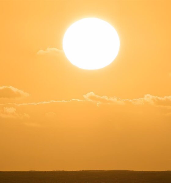 Como o Clima de Indaiatuba Pode Influenciar Seu Dia Suas Decis es e At Sua Sorte no Jogo do Bicho