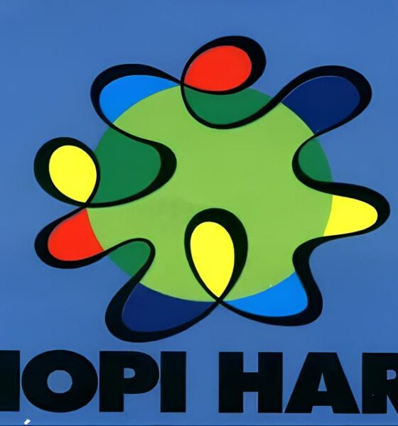 Como o Hopi Hari Está Redefinindo a Experiência de Influenciadores e Comunicadores em 2025 16 Como o Hopi Hari Est Redefinindo a Experi ncia de Influenciadores e Comunicadores em 2025