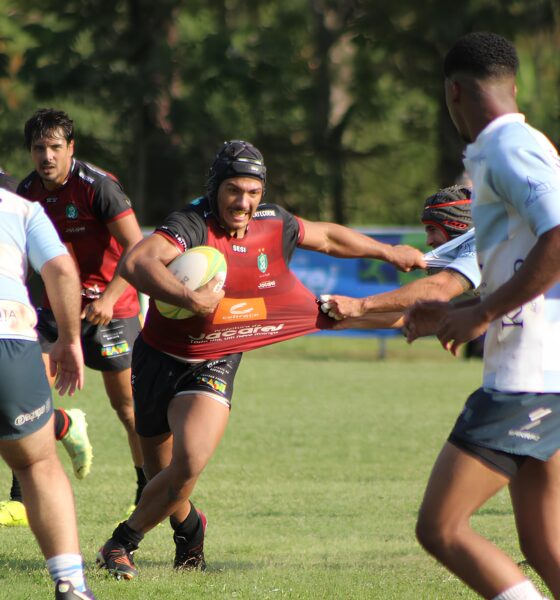 Como o Super 12 de Rugby Está Redefinindo a Elite do Esporte no Brasil 16 Como o Super 12 de Rugby Est Redefinindo a Elite do Esporte no Brasil