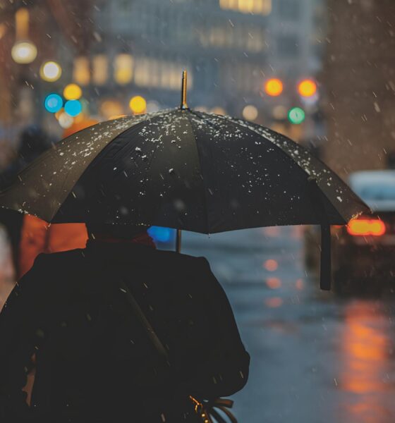 Como uma Frente Fria Fraca Pode Mudar o Seu Dia: A Ciência e os Impactos do Clima na Nossa Vida 16 Como uma Frente Fria Fraca Pode Mudar o Seu Dia A Ci ncia e os Impactos do Clima na Nossa Vida