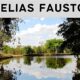 Descobrindo Elias Fausto A P rola Escondida de S o Paulo Que Voc Precisa Conhecer