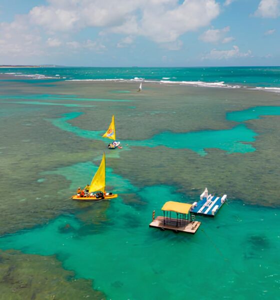 Descubra Como Aproveitar as Promoções Imperdíveis da Azul Viagens de Assis Antes que Acabem! 16 Descubra Como Aproveitar as Promo es Imperd veis da Azul Viagens de Assis Antes que Acabem
