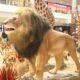 Descubra o Mundo Selvagem no Cora o da Cidade A Exposi o Smart Zoo Chega ao Polo Shopping Indaiatuba