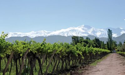 Descubra o Segredo Argentino Mendoza a Partir de 19 500 Milhas e Um Brinde ao Inverno dos Sonhos