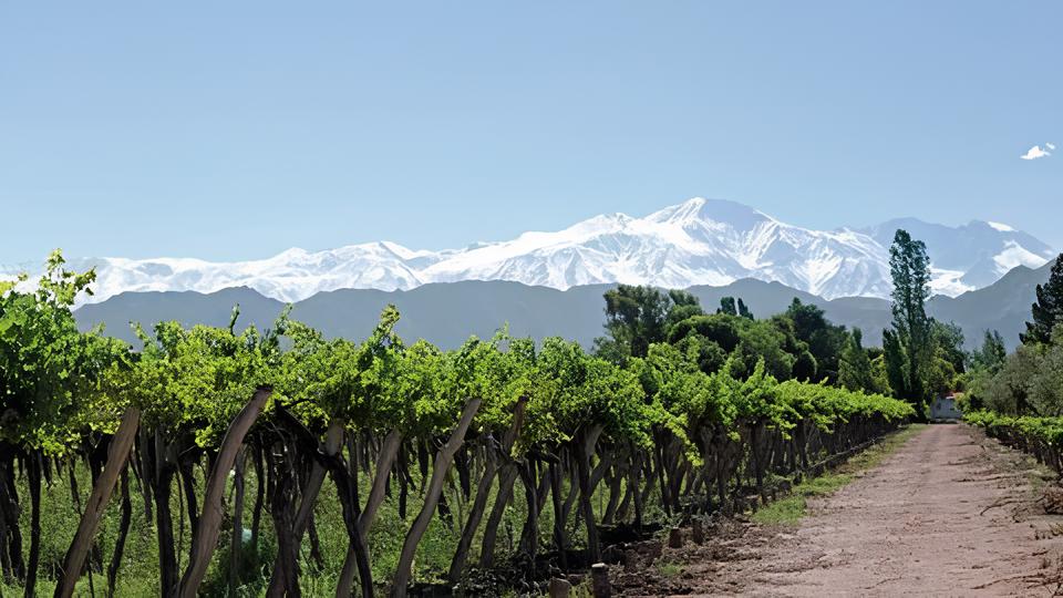 Descubra o Segredo Argentino Mendoza a Partir de 19 500 Milhas e Um Brinde ao Inverno dos Sonhos