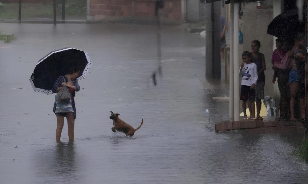 Dia das M es Sob Chuva Como o Clima Molda Nossos Momentos de Afeto