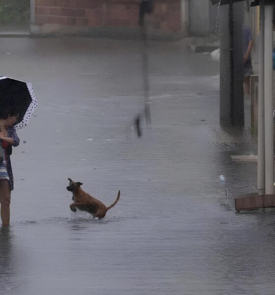 Dia das Mães Sob Chuva: Como o Clima Molda Nossos Momentos de Afeto 16 Dia das M es Sob Chuva Como o Clima Molda Nossos Momentos de Afeto