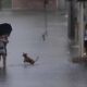 Dia das M es Sob Chuva Como o Clima Molda Nossos Momentos de Afeto