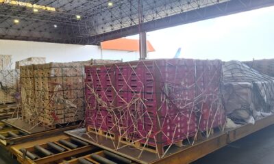 Exporta o de Frutas Brasileiras para a Europa O Caso de Sucesso da Azul Cargo em 2025