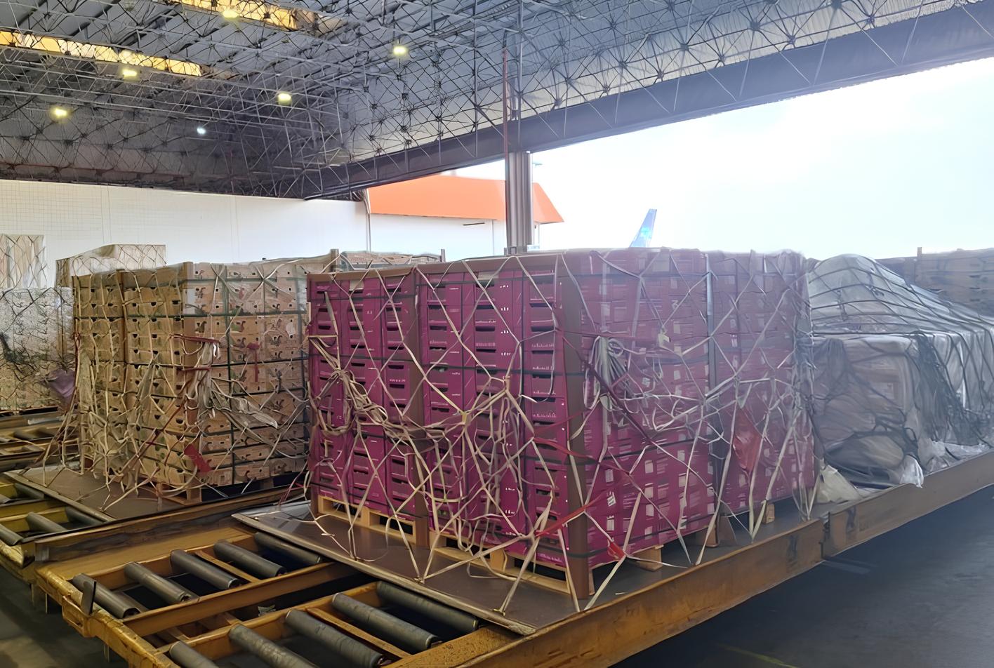 Exportação de Frutas Brasileiras para a Europa: O Caso de Sucesso da Azul Cargo em 2025 15