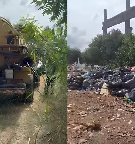 Flagrante no Distrito Industrial: A Sujeira por Trás dos Bastidores de Campinas 16 Flagrante no Distrito Industrial A Sujeira por Tr s dos Bastidores de Campinas