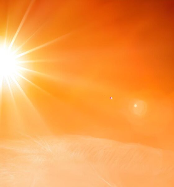Indaiatuba Sob o Sol Como Um Dia Ensolarado Pode Transformar a Cidade e Suas Rotinas