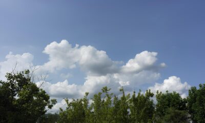 Indaiatuba Sob o Sol Como um Dia Perfeito Pode Definir a Ess ncia de uma Cidade