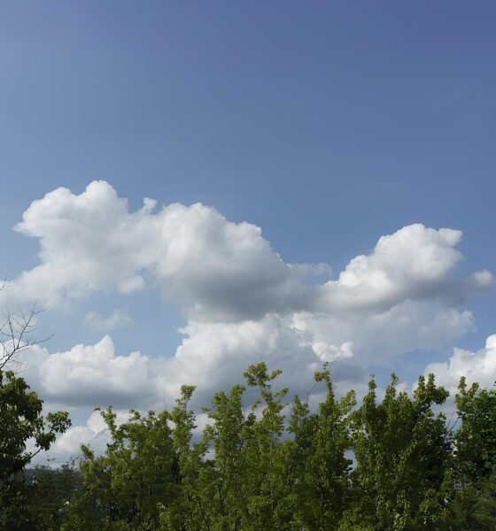 Indaiatuba Sob o Sol Como um Dia Perfeito Pode Definir a Ess ncia de uma Cidade