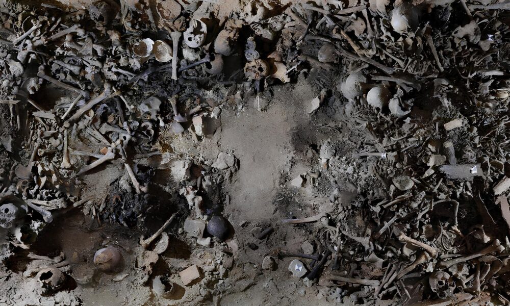 Milh es de Ossos Contam Hist rias Esquecidas Como uma Cripta do S culo 17 Revelou a Vida dos Pobres em Mil o