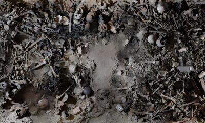 Milh es de Ossos Contam Hist rias Esquecidas Como uma Cripta do S culo 17 Revelou a Vida dos Pobres em Mil o