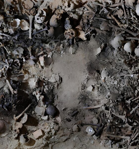 Milhões de Ossos Contam Histórias Esquecidas: Como uma Cripta do Século 17 Revelou a Vida dos Pobres em Milão 16 Milh es de Ossos Contam Hist rias Esquecidas Como uma Cripta do S culo 17 Revelou a Vida dos Pobres em Mil o