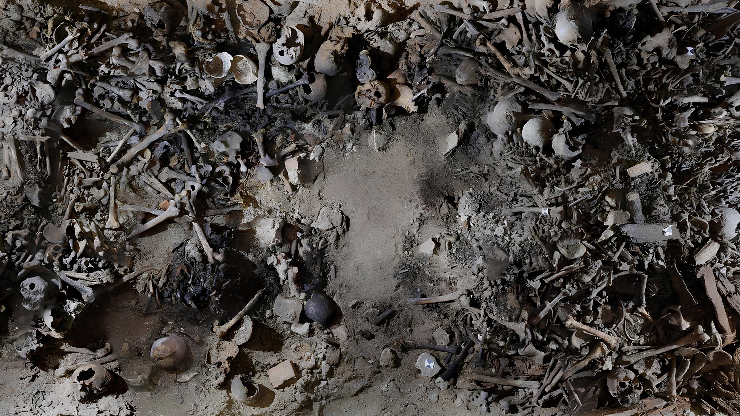 Milhões de Ossos Contam Histórias Esquecidas: Como uma Cripta do Século 17 Revelou a Vida dos Pobres em Milão 15 Milh es de Ossos Contam Hist rias Esquecidas Como uma Cripta do S culo 17 Revelou a Vida dos Pobres em Mil o