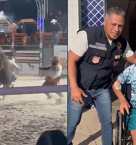 O Dia em que um Touro Virou o Destino de um Peão: O Caso Daniel Alexandre dos Santos em Hortolândia 16 O Dia em que um Touro Virou o Destino de um Pe o O Caso Daniel Alexandre dos Santos em Hortol ndia