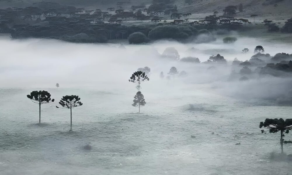 O Espet culo do Frio Extremo no Sul Como o Brasil Encara um dos Invernos Mais Rigorosos da D cada