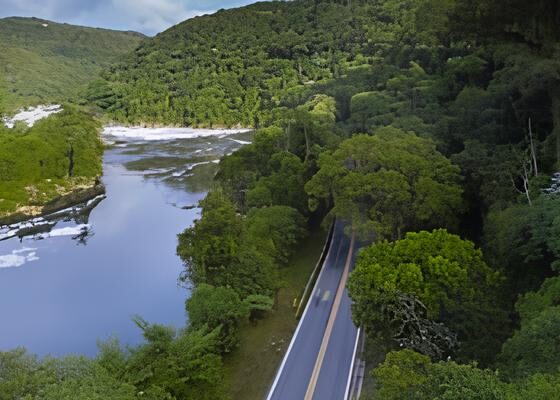 O Mistério da Cabreúva: Uma Jornada Pelo Coração do Brasil 16 O Mist rio da Cabre va Uma Jornada Pelo Cora o do Brasil