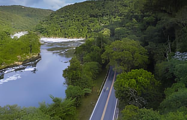 O Mistério da Cabreúva: Uma Jornada Pelo Coração do Brasil 15 O Mist rio da Cabre va Uma Jornada Pelo Cora o do Brasil