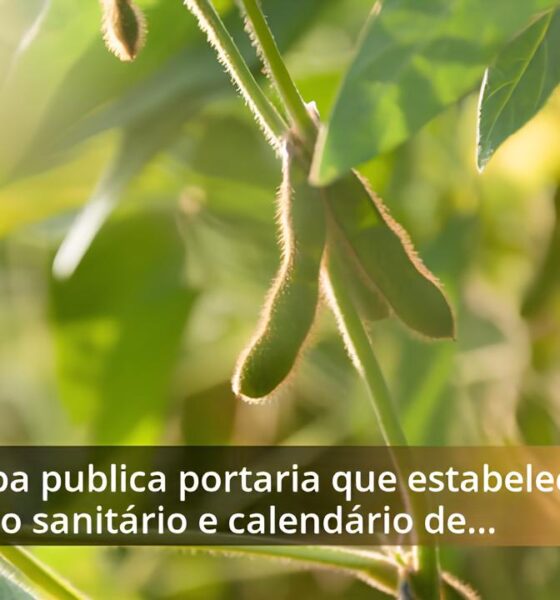 O Salto Verde: Como o Brasil Está Conquistando a Europa com Frutas Tropicais em 2025 16 O Salto Verde Como o Brasil Est Conquistando a Europa com Frutas Tropicais em 2025