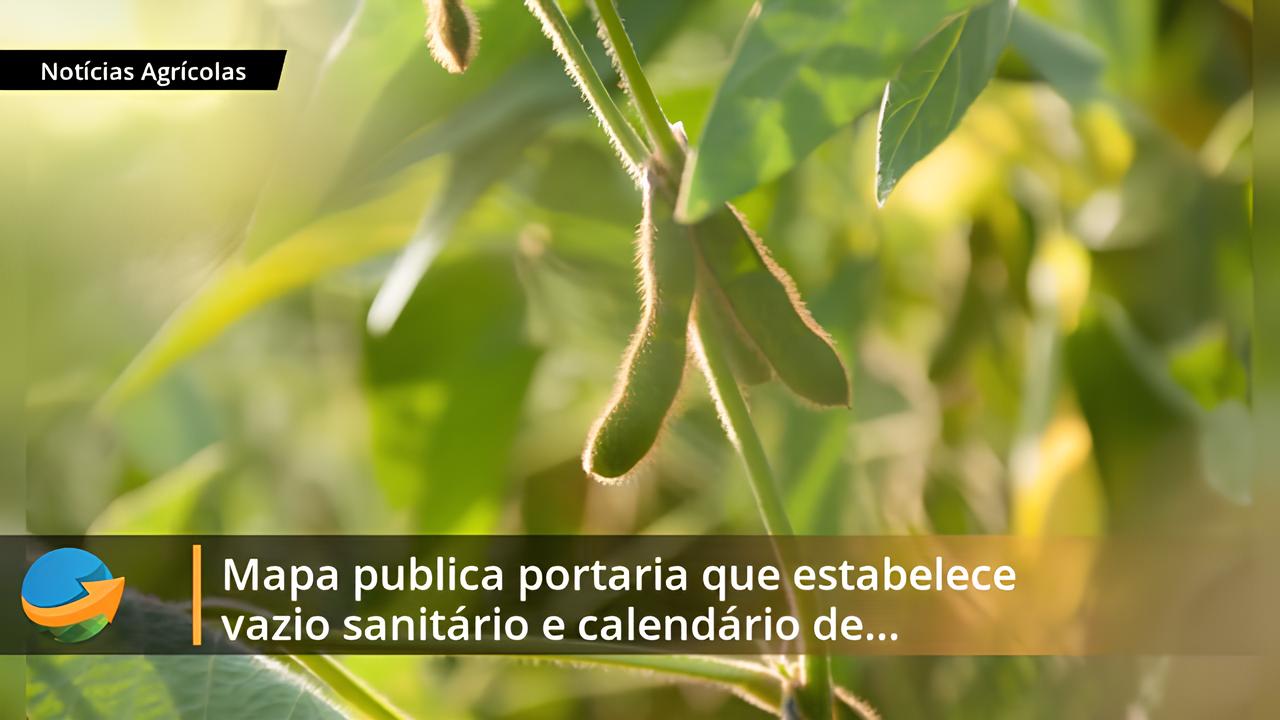 O Salto Verde: Como o Brasil Está Conquistando a Europa com Frutas Tropicais em 2025 15 O Salto Verde Como o Brasil Est Conquistando a Europa com Frutas Tropicais em 2025