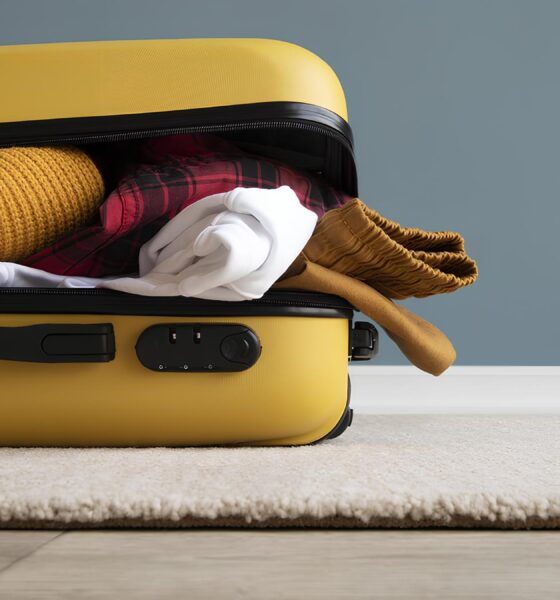 Por Que Viajar de Ônibus Está Conquistando Corações e Economias no Brasil? 16 Por Que Viajar de nibus Est Conquistando Cora es e Economias no Brasil