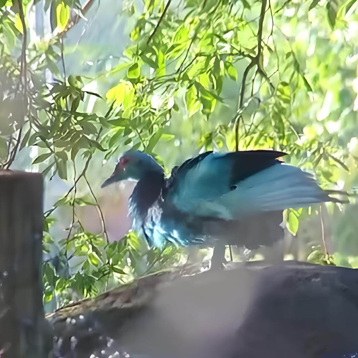 Quando a Natureza Fica Azul: O Caso dos Lagos de Jundiaí e o Alerta Ignorado 15 Quando a Natureza Fica Azul O Caso dos Lagos de Jundia e o Alerta Ignorado
