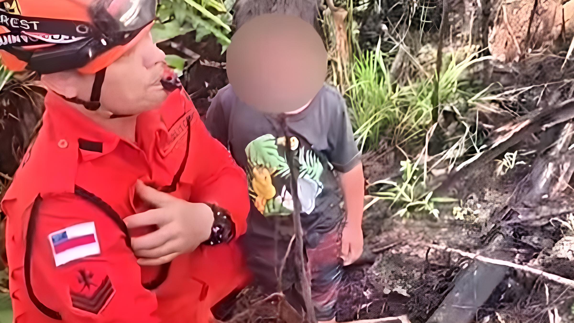 Quando a Natureza Intervém: Como Cães Selvagens Salvaram um Menino Perdido no Coração da Amazônia 15 Quando a Natureza Interv m Como C es Selvagens Salvaram um Menino Perdido no Cora o da Amaz nia