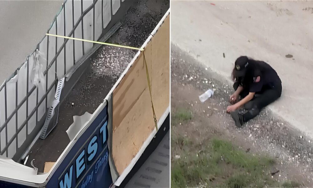 Quando o Dinheiro Cai na Estrada O Dia em que 8 Milh es de Moedas Pararam o Texas