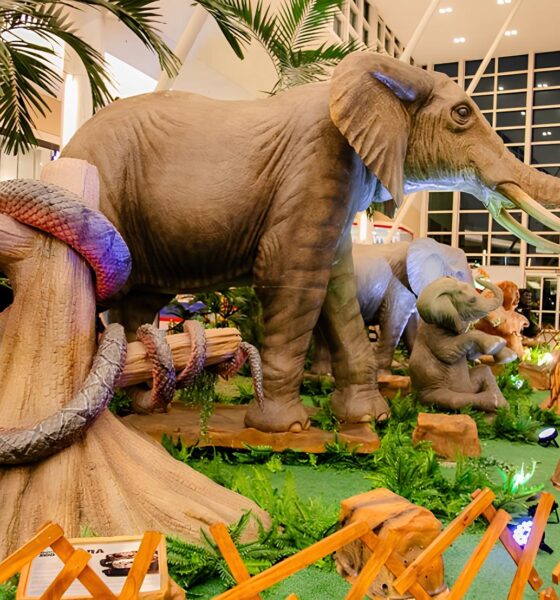 Smart Zoo: A Floresta Encantada Chegou ao Polo Shopping Indaiatuba – Uma Experiência Realista e Gratuita Que Promete Encantar Todos os Visitantes 16 Smart Zoo A Floresta Encantada Chegou ao Polo Shopping Indaiatuba Uma Experi ncia Realista e Gratuita Que Promete Encantar Todos os Visitantes