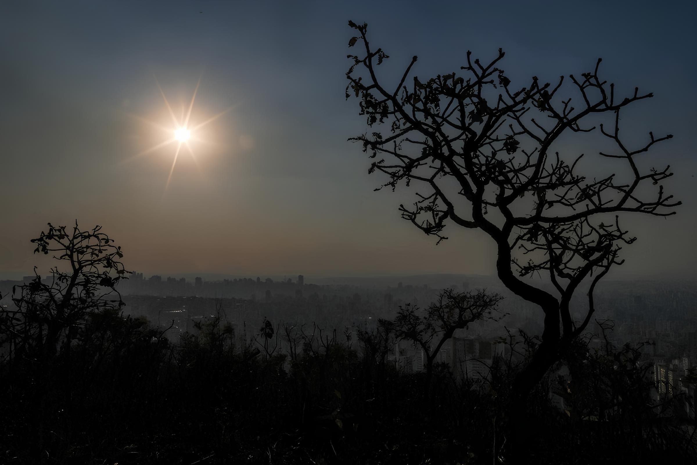 Sol, Temperaturas Agradáveis e Umidade Controlada: Como Indaiatuba se Prepara para um Dia de Céu Azul na Quinta-feira (15) 15 Sol Temperaturas Agrad veis e Umidade Controlada Como Indaiatuba se Prepara para um Dia de C u Azul na Quinta feira 15