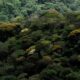 Voo para Alta Floresta Cancelado O Que Isso Significa Para o Futuro da Avia o Regional em MT