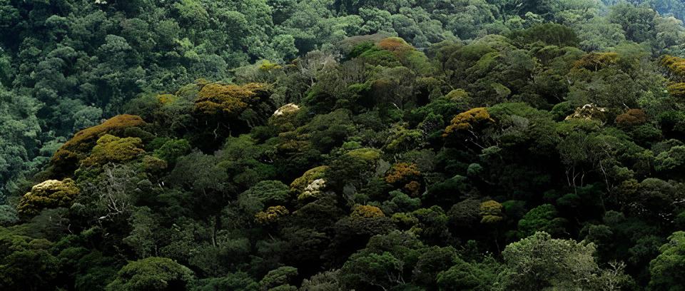 Voo para Alta Floresta Cancelado O Que Isso Significa Para o Futuro da Avia o Regional em MT