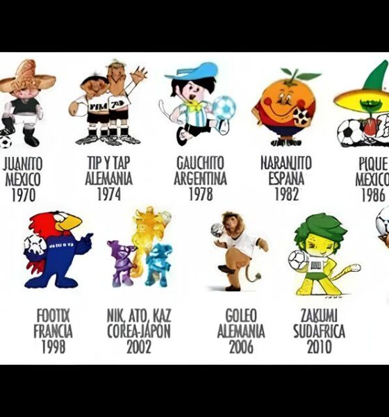 A Cidade do Aconchego: Como São Bernardo Reinventou a Solidariedade com Mascotes do Bem e uma Campanha que Aquece Corações no Inverno de 2025 16 A Cidade do Aconchego Como S o Bernardo Reinventou a Solidariedade com Mascotes do Bem e uma Campanha que Aquece Cora es no Inverno de 2025