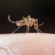 A Epidemia Silenciosa Como Indaiatuba Est Combatendo o Avan o da Dengue em 2025
